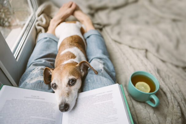 dog cuddling, Should You Let Your Dog Sleep in Your Bed