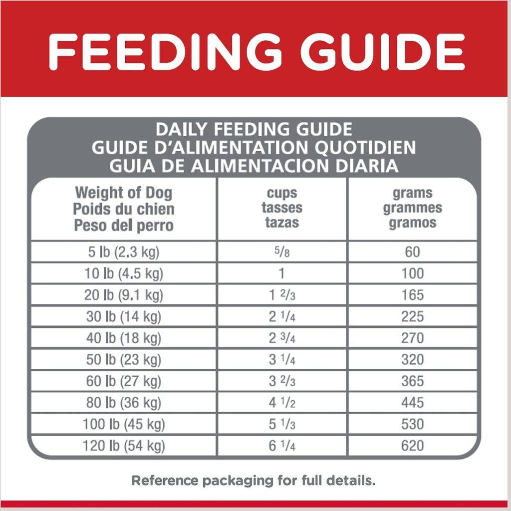 amount of dog food per day, How Often Should You Feed Your Dog