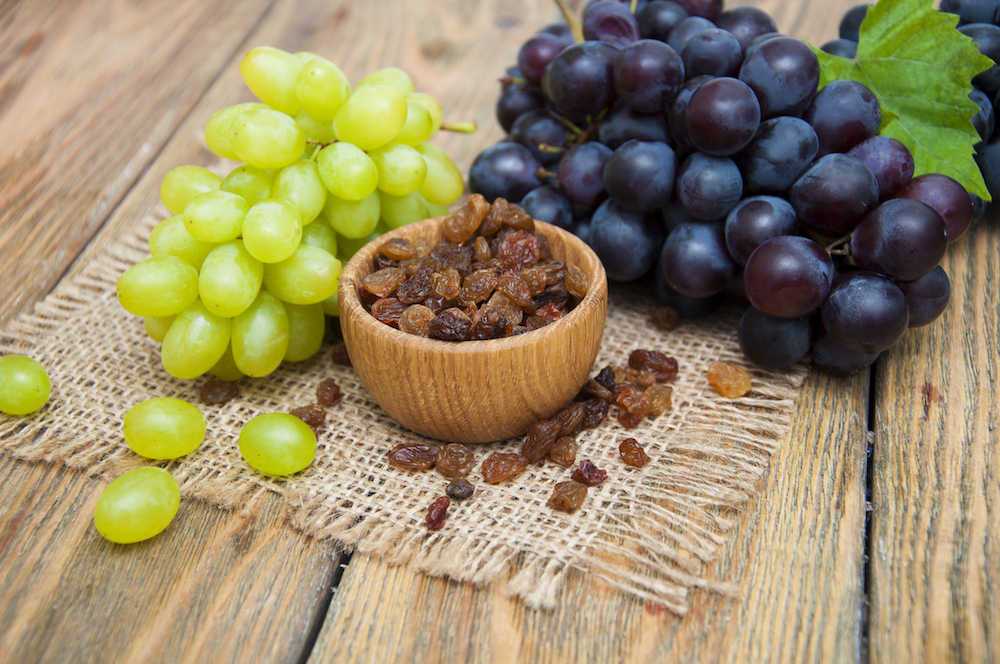 grapes and raisens, What Your Dog Should Never Eat