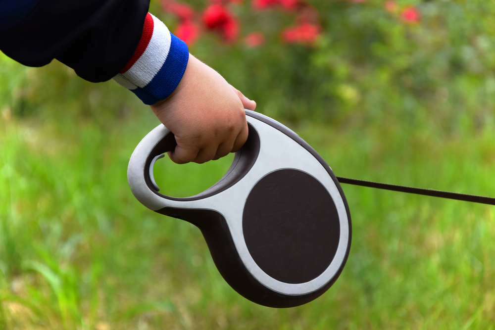 retractable leash, Are Retractable Leashes a Good Idea