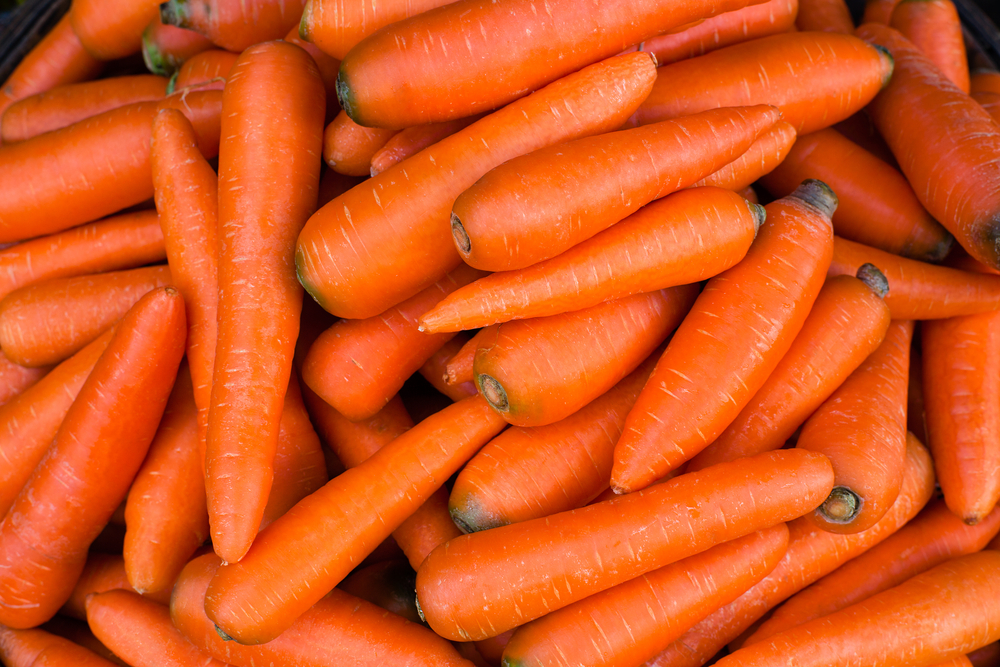 carrots, Dog Superfoods: 10 Healthy Treat Alternatives