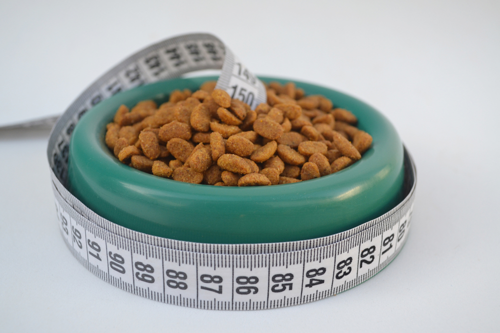 healthy amount of dog food, How to Maintain Your Dog's Healthy Weight